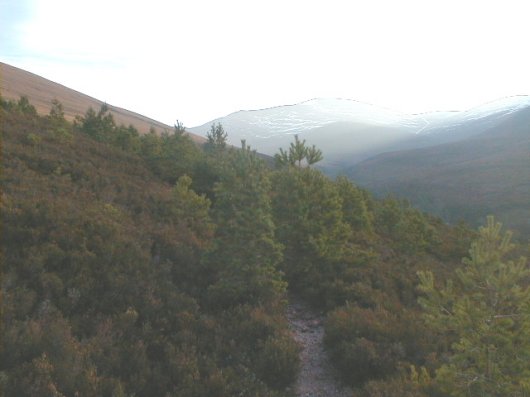 Cairngorms fixed point photo 21-12-2000