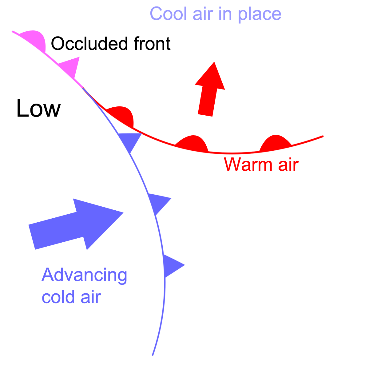 Diagram showing the formation of an occluded front