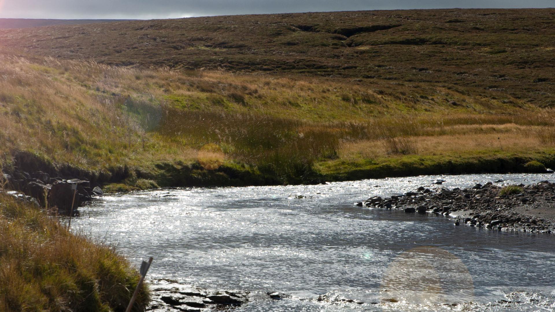 Moor House and Trout Beck