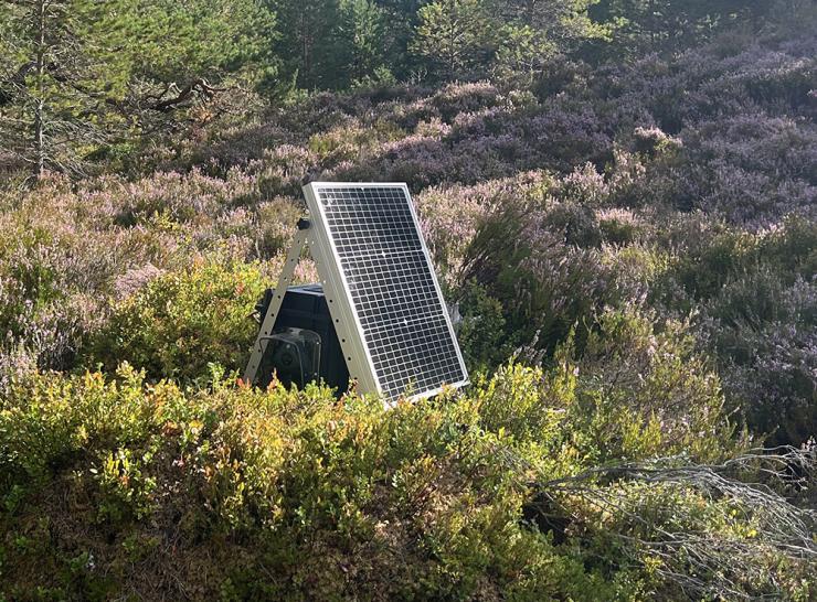 More on our bioacoustic monitoring in the Cairngorms A bioacoustic bird monitoring device with a solar panel at ECN Cairngorms